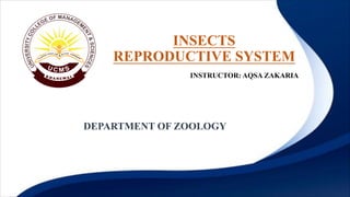 INSECTS
REPRODUCTIVE SYSTEM
DEPARTMENT OF ZOOLOGY
INSTRUCTOR: AQSA ZAKARIA
 