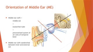 Middle Ear Rattle Comprehensive Anatomy and Development of the Middle and Inner Ear | PPTX