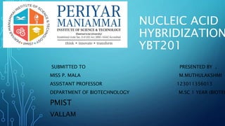 NUCLEIC ACID
HYBRIDIZATION
YBT201
SUBMITTED TO PRESENTED BY ,
MISS P. MALA M.MUTHULAKSHMI
ASSISTANT PROFESSOR 123011356013
DEPARTMENT OF BIOTECHNOLOGY M.SC 1 YEAR (BIOTEC
PMIST
VALLAM
 