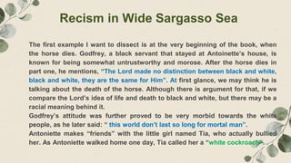 Morose Example Racism In Wide Sargasso Sea | PPTX