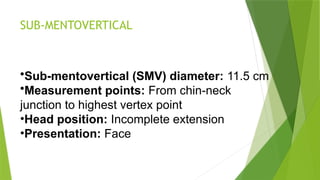 comprehensive-overview-of-the-fetal-skull-anatomy-and-its-clinical