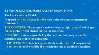 ENZYMES VELVIZHE (1).pptx Biochemistry Exams | PPTX