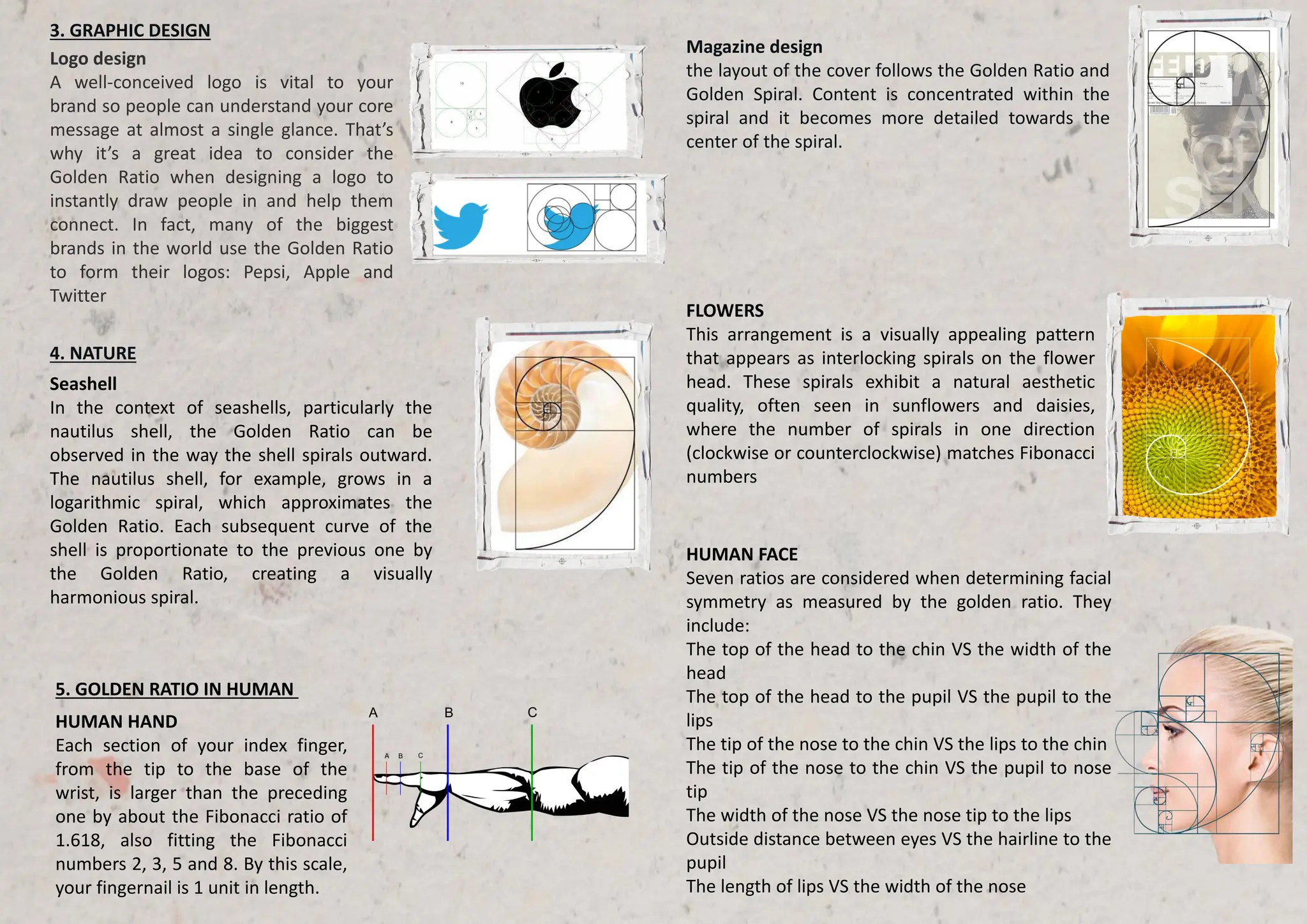DOCUMENT GOLDEN RATIO IN ARCHITECTURE AN DESIGN | PDF