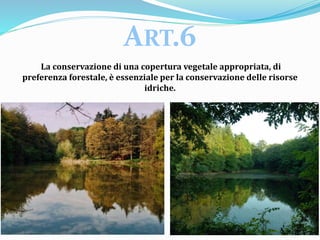 La conservazione di una copertura vegetale appropriata, di
preferenza forestale, è essenziale per la conservazione delle risorse
idriche.
ART.6
 
