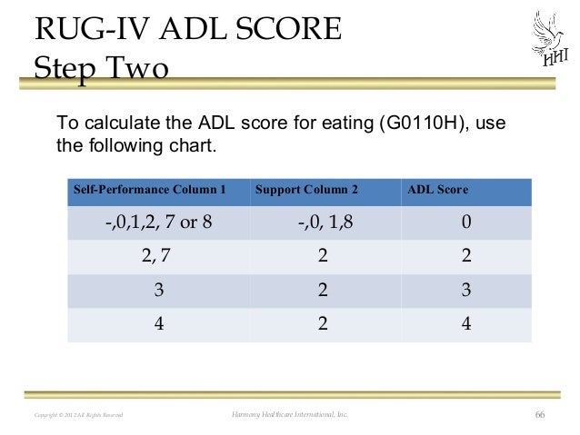 Adl Charting Form