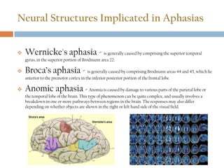 Neural Structures Implicated in Aphasias
 Wernicke's aphasia - is generally caused by comprising the superior temporal
gyrus, in the superior portion of Brodmann area 22.
 Broca’s aphasia - is generally caused by comprising Brodmann areas 44 and 45, which lie
anterior to the premotor cortex in the inferior posterior portion of the frontal lobe
 Anomic aphasia - Anomia is caused by damage to various parts of the parietal lobe or
the temporal lobe of the brain. This type of phenomenon can be quite complex, and usually involves a
breakdown in one or more pathways between regions in the brain. The responses may also differ
depending on whether objects are shown in the right or left hand side of the visual field.
 