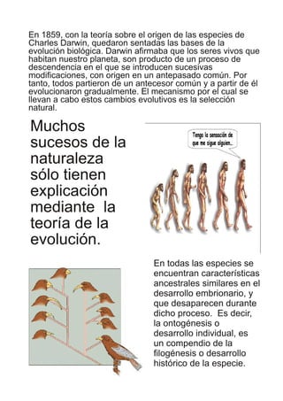 En 1859, con la teoría sobre el origen de las especies de
Charles Darwin, quedaron sentadas las bases de la
evolución biológica. Darwin afirmaba que los seres vivos que
habitan nuestro planeta, son producto de un proceso de
descendencia en el que se introducen sucesivas
modificaciones, con origen en un antepasado común. Por
tanto, todos partieron de un antecesor común y a partir de él
evolucionaron gradualmente. El mecanismo por el cual se
llevan a cabo estos cambios evolutivos es la selección
natural.
Muchos
sucesos de la
naturaleza
sólo tienen
explicación
mediante la
teoría de la
evolución.
En todas las especies se
encuentran características
ancestrales similares en el
desarrollo embrionario, y
que desaparecen durante
dicho proceso. Es decir,
la ontogénesis o
desarrollo individual, es
un compendio de la
filogénesis o desarrollo
histórico de la especie.
 
