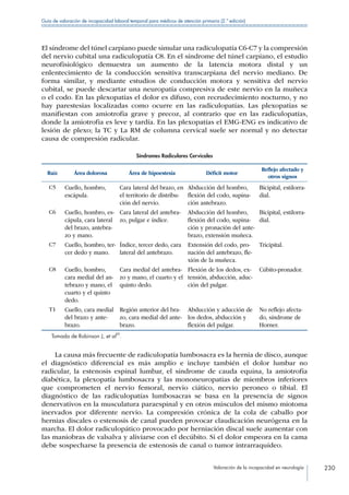 Valoración de la incapacidad en neurología 230
Guía de valoración de incapacidad laboral temporal para médicos de atención primaria (2.ª edición)
El síndrome del túnel carpiano puede simular una radiculopatía C6-C7 y la compresión
del nervio cubital una radiculopatía C8. En el síndrome del túnel carpiano, el estudio
neurofisiológico demuestra un aumento de la latencia motora distal y un
enlentecimiento de la conducción sensitiva transcarpiana del nervio mediano. De
forma similar, y mediante estudios de conducción motora y sensitiva del nervio
cubital, se puede descartar una neuropatía compresiva de este nervio en la muñeca
o el codo. En las plexopatías el dolor es difuso, con recrudecimiento nocturno, y no
hay parestesias localizadas como ocurre en las radiculopatías. Las plexopatias se
manifiestan con amiotrofia grave y precoz, al contrario que en las radiculopatías,
donde la amiotrofia es leve y tardía. En las plexopatías el EMG-ENG es indicativo de
lesión de plexo; la TC y La RM de columna cervical suele ser normal y no detectar
causa de compresión radicular.
Síndromes Radiculares Cervicales
Raíz Área dolorosa Área de hipoestesia Déficit motor
Reflejo afectado y
otros signos
C5 Cuello, hombro,
escápula.
Cara lateral del brazo, en
el territorio de distribu-
ción del nervio.
Abducción del hombro,
flexión del codo, supina-
ción antebrazo.
Bicipital, estilorra-
dial.
C6 Cuello, hombro, es-
cápula, cara lateral
del brazo, antebra-
zo y mano.
Cara lateral del antebra-
zo, pulgar e índice.
Abducción del hombro,
flexión del codo, supina-
ción y pronación del ante-
brazo, extensión muñeca.
Bicipital, estilorra-
dial.
C7 Cuello, hombro, ter-
cer dedo y mano.
Índice, tercer dedo, cara
lateral del antebrazo.
Extensión del codo, pro-
nación del antebrazo, fle-
xión de la muñeca.
Tricipital.
C8 Cuello, hombro,
cara medial del an-
tebrazo y mano, el
cuarto y el quinto
dedo.
Cara medial del antebra-
zo y mano, el cuarto y el
quinto dedo.
Flexión de los dedos, ex-
tensión, abducción, aduc-
ción del pulgar.
Cúbito-pronador.
T1 Cuello, cara medial
del brazo y ante-
brazo.
Región anterior del bra-
zo, cara medial del ante-
brazo.
Abducción y aducción de
los dedos, abducción y
flexión del pulgar.
No reflejo afecta-
do, síndrome de
Horner.
Tomada de Robinson J, et al
20
.
La causa más frecuente de radiculopatía lumbosacra es la hernia de disco, aunque
el diagnóstico diferencial es más amplio e incluye también el dolor lumbar no
radicular, la estenosis espinal lumbar, el síndrome de cauda equina, la amiotrofia
diabética, la plexopatía lumbosacra y las mononeuropatias de miembros inferiores
que comprometen el nervio femoral, nervio ciático, nervio peroneo o tibial. El
diagnóstico de las radiculopatías lumbosacras se basa en la presencia de signos
denervativos en la musculatura paraespinal y en otros músculos del mismo miotoma
inervados por diferente nervio. La compresión crónica de la cola de caballo por
hernias discales o estenosis de canal pueden provocar claudicación neurógena en la
marcha. El dolor radiculopático provocado por herniación discal suele aumentar con
las maniobras de valsalva y aliviarse con el decúbito. Si el dolor empeora en la cama
debe sospecharse la presencia de estenosis de canal o tumor intrarraquídeo.
 