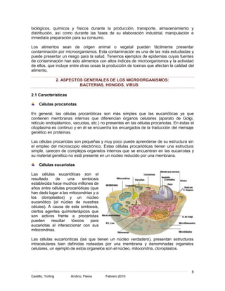 biológicos, químicos y físicos durante la producción, transporte, almacenamiento y
distribución, así como durante las fases de su elaboración industrial, manipulación e
inmediata preparación para su consumo.

Los alimentos sean de origen animal o vegetal pueden fácilmente presentar
contaminación por microorganismos. Esta contaminación es una de las más estudiadas y
puede presentar un riesgo para la salud. Tenemos ejemplos de epidemias cuyas fuentes
de contaminación han sido alimentos con altos índices de microorganismos y la actividad
de ellos, que incluye entre otras cosas la producción de toxinas que afectan la calidad del
alimento.

                    2. ASPECTOS GENERALES DE LOS MICROORGANISMOS:
                              BACTERIAS, HONGOS, VIRUS

2.1 Características

     Células procariotas

En general, las células procarióticas son más simples que las eucarióticas ya que
contienen membranas internas que diferencian órganos celulares (aparato de Golgi,
retículo endoplásmico, vacuolas, etc.) no presentes en las células procariotas. En éstas el
citoplasma es continuo y en él se encuentra los encargados de la traducción del mensaje
genético en proteínas.

Las células procariotas son pequeñas y muy poco puede aprenderse de su estructura sin
el empleo del microscopio electrónico. Estas células procarióticas tienen una estructura
simple, carecen de complejos organelos internos que se encuentran en las eucariotas y
su material genético no está presente en un núcleo reducido por una membrana.

     Células eucariotas

Las células eucarióticas son el
resultado     de    una     simbiosis
establecida hace muchos millones de
años entre células procarióticas (que
han dado lugar a las mitocondrias y a
los cloroplastos) y un núcleo
eucariótico (el núcleo de nuestras
células). A causa de esta simbiosis,
ciertos agentes quimioterápicos que
son activos frente a procariotas
pueden     resultar   tóxicos    para
eucariotas al interaccionar con sus
mitocondrias.

Las células eucarionticas (las que tienen un núcleo verdadero), presentan estructuras
intracelulares bien definidas rodeadas por una membrana y denominadas organelos
celulares, un ejemplo de estos organelos son el núcleo, mitocondria, cloroplastos.




                                                                                         8
Castillo, Yorling        Andino, Flavia   Febrero 2010
 