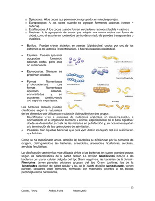 o Diplococos: A los cocos que permanecen agrupados en simples parejas.
   o Estreptococos: A los cocos cuando se agrupan formando cadenas (strepo =
     cadena).
   o Estafilococos: A los cocos cuando forman verdaderos racimos (staphIs = racimo).
   o Sarcinas: A la agrupación de cocos que adopta una forma cúbica (en forma de
     dado), como si estuvieran contenidos dentro de un dado de paredes transparentes o
     invisibles.

     Bacilos. Pueden crecer aislados, en parejas (diplobacilos) unidos por uno de los
     extremos o en cadenas (estreptobacilos) e hileras paralelas (palizadas).

     Espirilos. Pueden aparecer
     agrupados        formando
     cadenas cortas, pero esto
     no es frecuente.

     Espiroquetas. Siempre se
     presentan aisladas.

     Formas         filamentosas
     (Trichobacterias).       Las
     formas         filamentosas
     aparecen           aisladas,
     enmarañadas        y      en
     ocasiones     constituyendo
     una especie empalizada.

Las bacterias también pueden
clasificarse según la naturaleza
de los alimentos que utilizan para subsistir distinguiéndose dos grupos:
     Saprofíticas: viven a expensas de materiales orgánicos en descomposición, o
     normalmente en el organismo humano o animal, especialmente en el tubo digestivo,
     donde se desarrollan a costa de las materias en putrefacción y, en ocasiones ayudan
     a la terminación de las operaciones de asimilación.
     Parásitas: Son aquellas bacterias que para vivir utilizan los tejidos del ave o animal en
     que habitan.

Como se ha mencionado antes, también las bacterias se diferencian por la demanda de
oxígeno, distinguiéndose las bacterias, anaerobias, anaerobias facultativas, aerobias,
aerobias facultativas.

La clasificación taxonómica más utilizada divide a las bacterias en cuatro grandes grupos
según las características de la pared celular. La división Gracilicutes incluye a las
bacterias con pared celular delgada del tipo Gram negativas; las bacterias de la división
Firmicutes tienen paredes celulares gruesas del tipo Gram positivas; las de la
Tenericutes carecen de pared celular y las de la cuarta división Mendosicutes tienen
paredes celulares poco comunes, formadas por materiales distintos a los típicos
peptidoglucanos bacterianos.




                                                                                           13
Castillo, Yorling     Andino, Flavia       Febrero 2010
 