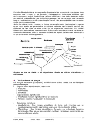 Entre las Mendosicutes se encuentran las Arquebacterias, un grupo de organismos poco
comunes, que incluyen a las bacterias metanogénicas, anaerobias estrictas, que
producen metano a partir de dióxido de carbono e hidrógeno (que están presentes en los
procesos de producción de gas en los biodigestores); las halobacterias, que necesitan
para su crecimiento concentraciones elevadas de sal, y las termoacidófilas, que necesitan
azufre y son muy termófilas.
Se ha discutido sobre la conveniencia de que las Arquebacterias (Archaea) se incluyeran
en un reino aparte, ya que estudios bioquímicos recientes han mostrado que son tan
diferentes de las otras bacterias como de los organismos eucariotas (con núcleo
diferenciado englobado en una membrana). Estos cuatro grandes grupos de bacterias se
subdividen además en unas 30 secciones numeradas, alguna de las cuales se dividen a
su vez en órdenes, familias y géneros.




Grupos en que se divide a los organismos donde se ubican procariontes y
eucariontes


     Clasificación de los hongos
Los hongos verdaderos (Eumycetes) se clasifican en cuatro clases, que se distinguen
principalmente por:
     según la forma de crecimiento y estructura
   o levaduras
   o filamentosos
   o dimórficos
     según el tipo de reproducción
   o Imperfectos (realizan reproducción de tipo asexual)
   o Perfectos (realizan reproducción de tipo sexual)

    Estructura y morfología:
   o Levaduriforme.     Son hongos unicelulares de forma oval, inmóviles que se
     reproducen por gemación, bipartición o un proceso intermedio entre ambas.
   o Filamentosa. Son hongos pluricelulares, formados por estructuras tubulares
     denominadas hifas; las que se desarrollan, ramifican y entrelazan conformando una
     estructura llamada Micelio.

                                                                                      14
Castillo, Yorling    Andino, Flavia     Febrero 2010
 