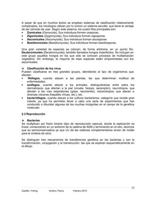 A pesar de que en muchos textos se emplean sistemas de clasificación relativamente
complicados, los micólogos utilizan por lo común un sistema sencillo, que tiene la ventaja
de ser cómodo de usar. Según este sistema, los cuatro filos principales son:
    Oomicetes (Oomycota). Sus individuos forman oosporas,
    Zigomicetes (Zygomycota). Sus individuos forman zigosporas
    Ascomicetes (Ascomycota). Sus individuos forman ascosporas
    Basidiomicetes (Basidiomycota). Sus individuos forman basidiosporas.

Una gran variedad de especies se colocan, de forma arbitraria, en un quinto filo:
Deuteromicetes (Deuteromycota), también llamados hongos imperfectos. Se incluyen en
este grupo aquellos hongos en los que sólo se conocen procesos de multiplicación
vegetativa. Sin embargo, la mayoría de esas especies están emparentadas con los
ascomicetes.

    Clasificación de los virus
Pueden clasificarse en tres grandes grupos, atendiendo al tipo de organismos que
afectan:
     fitófagos, cuando atacan a las plantas, las que determinan multitud de
    enfermedades.
    soófagos, cuando atacan a los animales, distinguiéndose entre estos los
    dermatropos, que afectan a la piel (viruela, herpes, sarampión), neurotropos, que
    afectan a las vías respiratorias (gripe, neumonitis), viscerotropos, que atacan a
    diversas vísceras (hepatitis víricas, etc.), etc.
    bacteriófagos, cuando atacan a los cultivos bacterianos, categoría que reviste gran
    interés, ya que ha permitido llevar a cabo una serie de experimentos que han
    conducido a dilucidar algunas de las muchas incógnitas en el campo de la genética
    molecular.

2.3 Reproducción

     Bacterias
Se multiplican por fisión binaria (tipo de reproducción asexual, donde la replicación es
lineal, comenzando en un extremo de la cadena de ADN y terminando en el otro, decimos
que es semiconservadora ya que c/u de las cadenas complementarias sirven de molde
para la síntesis de otra).

Se distinguen tres mecanismos de transferencia genética en las bacterias y son la
transformación, conjugación y la transducción, las que se explican esquemáticamente en
el dibujo.




                                                                                        15
Castillo, Yorling     Andino, Flavia     Febrero 2010
 