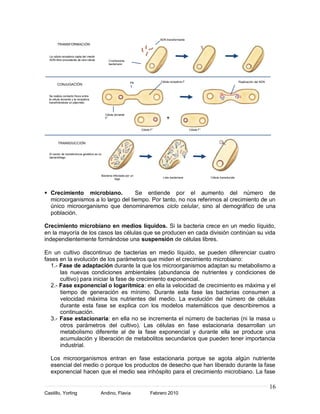 ADN transformante
        TRANSFORMACIÓN


  La célula receptora capta del medio
  ADN libre procedente de otra célula.          Cromosoma
                                                bacteriano




                                                                Pili               Célula receptora F-                                    Replicación del ADN
        CONJUGACIÓN


  Se realiza contacto físico entre
  la célula donante y la receptora
  transfiriéndose un plásmido.



                                              Célula donante
                                              F+                                       +
                                                                       Célula F+                         Célula F+



         TRANSDUCCIÓN


  El vector de transferencia genética es un
  bacteriófago.




                                          Bacteria infectada por un
                                                     fago                            Lisis bacteriana                Célula transducida




 Crecimiento microbiano.          Se entiende por el aumento del número de
  microorganismos a lo largo del tiempo. Por tanto, no nos referimos al crecimiento de un
  único microorganismo que denominaremos ciclo celular, sino al demográfico de una
  población.

Crecimiento microbiano en medios líquidos. Si la bacteria crece en un medio líquido,
en la mayoría de los casos las células que se producen en cada división continúan su vida
independientemente formándose una suspensión de células libres.

En un cultivo discontinuo de bacterias en medio líquido, se pueden diferenciar cuatro
fases en la evolución de los parámetros que miden el crecimiento microbiano:
  1.- Fase de adaptación durante la que los microorganismos adaptan su metabolismo a
      las nuevas condiciones ambientales (abundancia de nutrientes y condiciones de
      cultivo) para iniciar la fase de crecimiento exponencial.
  2.- Fase exponencial o logarítmica: en ella la velocidad de crecimiento es máxima y el
      tiempo de generación es mínimo. Durante esta fase las bacterias consumen a
      velocidad máxima los nutrientes del medio. La evolución del número de células
      durante esta fase se explica con los modelos matemáticos que describiremos a
      continuación.
  3.- Fase estacionaria: en ella no se incrementa el número de bacterias (ni la masa u
      otros parámetros del cultivo). Las células en fase estacionaria desarrollan un
      metabolismo diferente al de la fase exponencial y durante ella se produce una
      acumulación y liberación de metabolitos secundarios que pueden tener importancia
      industrial.

   Los microorganismos entran en fase estacionaria porque se agota algún nutriente
   esencial del medio o porque los productos de desecho que han liberado durante la fase
   exponencial hacen que el medio sea inhóspito para el crecimiento microbiano. La fase

                                                                                                                                                                16
Castillo, Yorling                         Andino, Flavia                     Febrero 2010
 