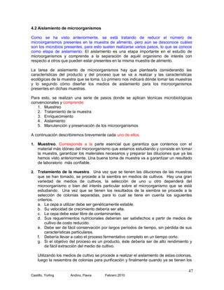 4.2 Aislamiento de microorganismos

Como se ha visto anteriormente, se está tratando de reducir el número de
microorganismos presentes en la muestra de alimento, pero aún se desconoce cuáles
son los microbios presentes, para esto suelen realizarse varios pasos, lo que se conoce
como etapa de aislamiento. El aislamiento es una etapa importante en el estudio de
microorganismos y comprende a la separación de aquél organismo de interés con
respecto a otros que pueden estar presentes en la misma muestra de alimento.

La tarea de aislamiento de microorganismos hay que plantearla considerando las
características del producto y del proceso que se va a realizar y las características
ecológicas de la muestra que se toma. Lo primero nos indicará dónde tomar las muestras
y lo segundo cómo diseñar los medios de aislamiento para los microorganismos
presentes en dichas muestras.

Para esto, se realizan una serie de pasos donde se aplican técnicas microbiológicas
convencionales y comprende:
   1. Muestreo
   2. Tratamiento de la muestra
   3. Enriquecimiento
   4. Aislamiento
   5. Manutención y preservación de los microorganismos

A continuación describiremos brevemente cada uno de ellos.

1. Muestreo. Corresponde a la parte esencial que garantiza que contemos con el
    material más idóneo del microorganismo que estamos estudiando y consiste en tomar
    la muestra, garantizar los materiales necesarios y preparar las diluciones que ya las
    hemos visto anteriormente. Una buena toma de muestra va a garantizar un resultado
    de laboratorio más confiable.

2. Tratamiento de la muestra. Una vez que se tienen las diluciones de las muestras
    que se han tomado, se procede a la siembra en medios de cultivos. Hay una gran
    variedad de medios de cultivos, la selección de uno u otro dependerá del
    microorganismo o bien del interés particular sobre el microorganismo que se está
    estudiando. Una vez que se tienen los resultados de la siembra se procede a la
    selección de colonias separadas, para lo cual se tiene en cuenta los siguientes
    criterios.
    a. La cepa a utilizar debe ser genéticamente estable.
    b. Su velocidad de crecimiento debería ser alta.
    c. La cepa debe estar libre de contaminantes.
    d. Sus requerimientos nutricionales deberían ser satisfechos a partir de medios de
         cultivo de costo reducido.
    e. Debe ser de fácil conservación por largos períodos de tiempo, sin pérdida de sus
         características particulares.
    f. Debería llevar a cabo el proceso fermentativo completo en un tiempo corto.
    g. Si el objetivo del proceso es un producto, éste debería ser de alto rendimiento y
         de fácil extracción del medio de cultivo.

    Utilizando los medios de cultivo se procede a realizar el aislamiento de estas colonias,
    luego la resiembra de colonias para purificación y finalmente cuando ya se tienen los

                                                                                          47
Castillo, Yorling     Andino, Flavia      Febrero 2010
 