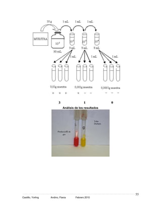 Análisis de los resultados



                                                         Tubo
                                                         Durham


                          Producción de
                               gas




                                                                  55
Castillo, Yorling   Andino, Flavia        Febrero 2010
 