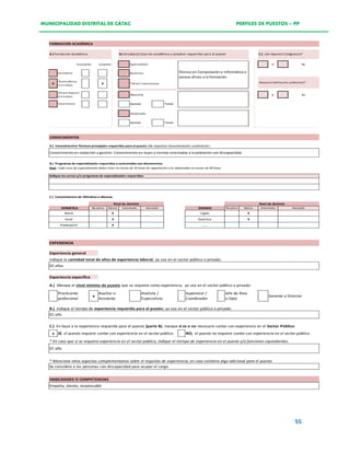 Documento-Perfil-de-Puestos-PP-.pdf