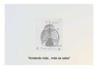 “Andando más , más se sabe”
 