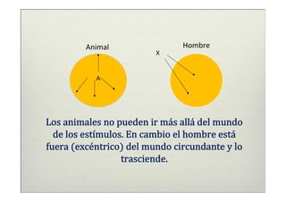 Animal                Hombre
                         X


           A




Los animales no pueden ir más allá del mundo
  de los estímulos. En cambio el hombre está
fuera (excéntrico) del mundo circundante y lo
                  trasciende.
 