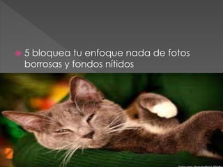  5 bloquea tu enfoque nada de fotos
borrosas y fondos nítidos
 