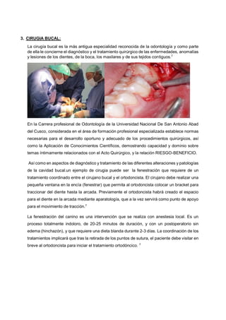 3. CIRUGIA BUCAL:
La cirugía bucal es la más antigua especialidad reconocida de la odontología y como parte
de ella le concierne el diagnóstico y el tratamiento quirúrgico de las enfermedades, anomalías
y lesiones de los dientes, de la boca, los maxilares y de sus tejidos contiguos.7
En la Carrera profesional de Odontología de la Universidad Nacional De San Antonio Abad
del Cusco, considerada en el área de formación profesional especializada establece normas
necesarias para el desarrollo oportuno y adecuado de los procedimientos quirúrgicos, así
como la Aplicación de Conocimientos Científicos, demostrando capacidad y dominio sobre
temas íntimamente relacionados con el Acto Quirúrgico, y la relación RIESGO-BENEFICIO.
Así como en aspectos de diagnóstico y tratamiento de las diferentes alteraciones y patologías
de la cavidad bucal.un ejemplo de cirugia puede ser la fenestración que requiere de un
tratamiento coordinado entre el cirujano bucal y el ortodoncista. El cirujano debe realizar una
pequeña ventana en la encía (fenestrar) que permita al ortodoncista colocar un bracket para
traccionar del diente hasta la arcada. Previamente el ortodoncista habrá creado el espacio
para el diente en la arcada mediante aparatología, que a la vez servirá como punto de apoyo
para el movimiento de tracción.7
La fenestración del canino es una intervención que se realiza con anestesia local. Es un
proceso totalmente indoloro, de 20-25 minutos de duración, y con un postoperatorio sin
edema (hinchazón), y que requiere una dieta blanda durante 2-3 días. La coordinación de los
tratamientos implicará que tras la retirada de los puntos de sutura, el paciente debe visitar en
breve al ortodoncista para iniciar el tratamiento ortodóncico. 7
 