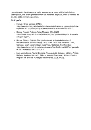 desmatamento das áreas onde estão as cavernas e pelas atividades turísticas
desregradas, que levam grande número de visitantes às grutas, onde o excesso de
pisoteio pode eliminar espécimes.
Bibliografia :
 Instituto Chico Mendes-ICMBio
<http://www.icmbio.gov.br/portal/biodiversidade/fauetazoa na-brasileira/lista-
especies/1011-opiliao-pachylospeleus-strinatii> Acessado 27/10/2013.
 Rocha. Ricardo Pinto da.Reino Metazoa OPILIONES
<http://www.ib.usp.br/~ricrocha/publicacoes/CapOpiliones1999.pdf> Acessado
em: 27/10/2014.
 Rocha. Ricardo Pinto da.Biological notes on and population size of
Pachylospeleus stvinatii ~ilhavjr, 1974 in the Gruta das Areias de Cima,
Iporanga, south-eastern Brazil (Arachnida, Opiliones, Gonyleptidae)
<http://www.ib.usp.br/~ricrocha/publicacoes/PintoDaRocha1996Pachylospele
us.pdf> Acessado em: 27/10/2014
 Livro Vermelho da Fauna Brasileira Ameaçada de Extinção- editores Angelo
Barbosa Monteiro Machado, Gláucia Moreira Drummond, Adriano Pereira
Paglia.1 ed. Brasília, Fundação Biodiversitas, 2008. 1420p.
 