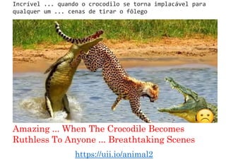 Incrível ... quando o crocodilo se torna implacável para
qualquer um ... cenas de tirar o fôlego
Amazing ... When The Crocodile Becomes
Ruthless To Anyone ... Breathtaking Scenes
https://uii.io/animal2
 