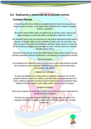 6.2. Explicación y desarrollo de la variable central.
Cuidado Plantas
A las plantas de interior debemos prestarle atención todos los días para que
crezcan sanas y fuertes, y nos hagan sentir satisfechos al mostrar su aspecto
lozano y saludable.
Es mucho más sencillo cuidar una planta que lo muchos creen, pese a que
algunos lleguen a creer que cuidar una planta es engorroso o difícil.
No obstante, ocurre que en ocasiones por más que le dediquemos toda nuestra
atención o cuidado, ellas no nos muestran su mejor cara. Se marchitan, sus
hojas se secan, las puntas se entristecen, las flores apenas duran e incluso se
llenan de bichos y plagas que amenazan su vida, y vemos como van muriendo
sin saber cómo actuar.
Adoptando una serie de indicaciones básicas para estos casos donde nuestras
plantas presentan síntomas de descuido o mal aspecto, se podrá poner remedio
Eliminar parásitos
Los parásitos irán matando nuestras plantas poco a poco. Nos daremos cuenta
de su presencia si encontramos manchas en las hojas, o están deprimidas,
recortadas y más débiles.
Mejorar sus nutrientes
A veces las plantas lucen tristes, como si le faltaran vitaminas. En tal caso
podemos reforzar la tierra con abono, y no hace falta que lo compremos en el
vivero, podemos fabricarlo nosotros mismos mezclando en un recipiente hojas
caídas de árboles, césped, café molido usado, tierra y un poco de agua.
Limpiar las plantas
Para que su aspecto se mantenga siempre vivo, podemos limpiar e higienizar las
plantas de forma cotidiana.
Primero hay que quitar el polvo de las hojas, y luego pasar un trapo o una
esponja humedecida en agua a temperatura ambiente y secar con un trapo
limpio y seco.

 