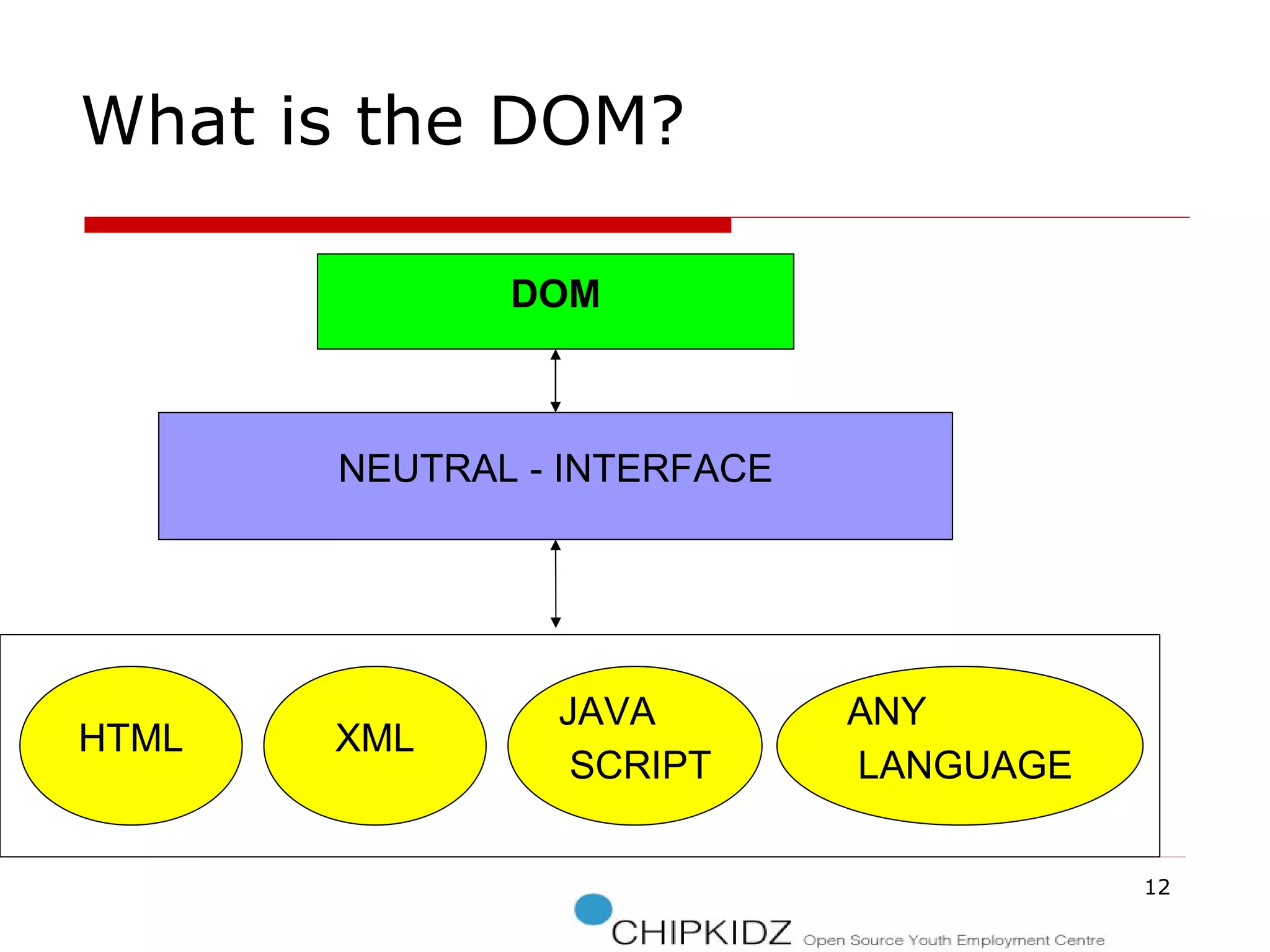 DOM NEUTRAL - INTERFACE HTML XML JAVA SCRIPT ANY LANGUAGE What is the DOM? 