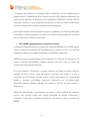 La empresa está ubicada en el bosque andino montañoso y en sus instalaciones se
puede producir 15 especies de 30 en rotación durante el año (algunas endémicas). Los
huevos de las especies, se recolectan y son trasladados al laboratorio donde continúa
el proceso evolutivo, un porcentaje de la producción se retorna al medio silvestre para
permitir la conservación y aumento poblacional de las especies.
El principal mercado internacional de las pupas es Inglaterra y de mariposas disecadas
lo es Bélgica, Francia y Canadá. El contacto con clientes internacionales se lo ha hecho
por vía electrónica y misiones comerciales.

•

Perú: AEDES, agroexportación y ecotursimo vivencial

La Asociación Especializada para el Desarrollo Sostenible (AEDES), es una ONG que se
orienta al desarrollo sostenible de las poblaciones en pobreza crítica al sur del Perú
mediante la asesoría a los gobiernos locales y a la población organizada.
AEDES promueve la agroecología para la exportación y fomenta el ecoturismo y el
turismo vivencial, aprovechando lugares naturales del área como el cañón del
Cotahuasi (el más profundo del área).
En lo que respecta a Ecoturismo y turismo vivencial, se incluye al turismo científico
(estudios de flora y fauna, visitas de campo), el turismo rural (visitas a la zona e
interacción con las diversas culturas), turismo vivencia (convivencia con comunidades
locales y compartir actividades), ecoturismo (interacción con la biodiversidad,
diversidad cultural, paisajes, deportes de aventura), servicio de guías locales y
alojamiento.
Dentro de agroecología y agroindustria, se tienen a cultivo andinos de amaranto,
quinua, maíz morado, habas, anís, aceites esenciales de plantas medicinales y
aromáticas. Todas estas actividades productivas y de servicios, tienen la asesoría de
AEDES.

56

 