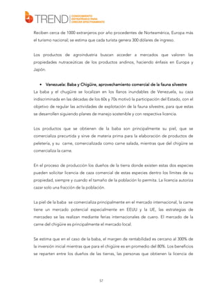 Reciben cerca de 1000 extranjeros por año procedentes de Norteamérica, Europa más
el turismo nacional; se estima que cada turista genera 300 dólares de ingreso.
Los productos de agroindustria buscan acceder a mercados que valoren las
propiedades nutraceúticas de los productos andinos, haciendo énfasis en Europa y
Japón.

•

Venezuela: Baba y Chigüire, aprovechamiento comercial de la fauna silvestre

La baba y el chugüire se localizan en los llanos inundables de Venezuela, su caza
indiscriminada en las décadas de los 60s y 70s motivó la participación del Estado, con el
objetivo de regular las actividades de explotación de la fauna silvestre, para que estas
se desarrollen siguiendo planes de manejo sostenible y con respectiva licencia.
Los productos que se obtienen de la baba son principalmente su piel, que se
comercializa precurtida y sirve de materia prima para la elaboración de productos de
peletería, y su carne, comercializada como carne salada, mientras que del chigüire se
comercializa la carne.
En el proceso de producción los dueños de la tierra donde existen estas dos especies
pueden solicitar licencia de caza comercial de estas especies dentro los límites de su
propiedad, siempre y cuando el tamaño de la población lo permita. La licencia autoriza
cazar solo una fracción de la población.
La piel de la baba se comercializa principalmente en el mercado internacional, la carne
tiene un mercado potencial especialmente en EEUU y la UE, las estrategias de
mercadeo se las realizan mediante ferias internacionales de cuero. El mercado de la
carne del chigüire es principalmente el mercado local.
Se estima que en el caso de la baba, el margen de rentabilidad es cercano al 300% de
la inversión inicial mientras que para el chigüire es en promedio del 80%. Los beneficios
se reparten entre los dueños de las tierras, las personas que obtienen la licencia de

57

 