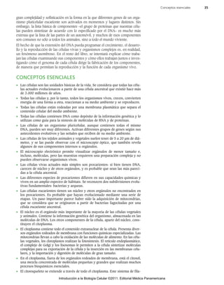 gran complejidad y sofisticación en la forma en la que diferentes genes de un orga-
nismo pluricelular eucarionte son activados en momentos y lugares distintos. Sin
embargo, la lista básica de componentes –el grupo de proteínas que nuestras célu-
las pueden sintetizar de acuerdo con lo especificado por el DNA– es mucho más
extensa que la lista de las partes de un automóvil, y muchos de esos componentes
son comunes no sólo a todos los animales, sino a todo el mundo viviente.
El hecho de que la extensión del DNA pueda programar el crecimiento, el desarro-
llo y la reproducción de las células vivas y organismos complejos es, en realidad,
un fenómeno asombroso. En el resto del libro, se intentará explicar cómo traba-
jan las células examinando sus componentes y cómo ellos trabajan juntos e inves-
tigando cómo el genoma de cada célula dirige la fabricación de los componentes,
de manera que permitan la reproducción y la función de cada organismo vivo.
CONCEPTOS ESENCIALES
• Las células son las unidades básicas de la vida. Se considera que todas las célu-
las actuales evolucionaron a partir de una célula ancestral que existió hace más
de 3.000 millones de años.
• Todas las células y, por lo tanto, todos los organismos vivos, crecen, convierten
energía de una forma a otra, reaccionan a su medio ambiente y se reproducen.
• Todas las células están rodeadas por una membrana plasmática que separa el
contenido celular del medio ambiente.
• Todas las células contienen DNA como depósito de la información genética y lo
utilizan como guía para la síntesis de moléculas de RNA y de proteínas.
• Las células de un organismo pluricelular, aunque contienen todas el mismo
DNA, pueden ser muy diferentes. Activan diferentes grupos de genes según sus
antecedentes evolutivos y las señales que reciben de su medio ambiente.
• Las células de los tejidos animales y vegetales suelen tener de 5 a 20 µm de diá-
metro, y se las puede observar con el microscopio óptico, que también revela
algunos de sus componentes internos u orgánulos.
• El microscopio electrónico permite visualizar orgánulos de menor tamaño e,
incluso, moléculas, pero las muestras requieren una preparación compleja y no
pueden observarse organismos vivos.
• Las células vivas actuales más simples son procariontes: si bien tienen DNA,
carecen de núcleo y de otros orgánulos, y es probable que sean las más pareci-
das a la célula ancestral.
• Las diferentes especies de procariontes difieren en sus capacidades químicas y
viven en un amplio espectro de hábitats. Se reconocen dos subdivisiones evolu-
tivas fundamentales: bacterias y arqueas.
• Las células eucariontes tienen un núcleo y otros orgánulos no encontrados en
los procariontes. Es probable que hayan evolucionado mediante una serie de
etapas. Un paso importante parece haber sido la adquisición de mitocondrias,
que se considera que se originaron a partir de bacterias fagocitadas por una
célula eucarionte ancestral.
• El núcleo es el orgánulo más importante de la mayoría de las células vegetales
y animales. Contiene la información genética del organismo, almacenada en las
moléculas de DNA. Los otros componentes de la célula, aparte del núcleo, cons-
tituyen el citoplasma.
• El citoplasma contiene todo el contenido extranuclear de la célula. Presenta diver-
sos orgánulos rodeados de membrana con funciones químicas especializadas. Las
mitocondrias llevan a cabo la oxidación de las moléculas de alimento. En las célu-
las vegetales, los cloroplastos realizan la fotosíntesis. El retículo endoplasmático,
el complejo de Golgi y los lisosomas le permiten a la célula sintetizar moléculas
complejas para su exportación de la célula y la inserción en las membranas celu-
lares, y la importación y digestión de moléculas de gran tamaño.
• En el citoplasma, fuera de los orgánulos rodeados de membrana, está el citosol,
una mezcla concentrada de moléculas pequeñas y grandes que realizan muchos
procesos bioquímicos esenciales.
• El citoesqueleto se extiende a través de todo el citoplasma. Este sistema de fila-
Conceptos esenciales 35
92546-01.qxd 8/10/10 8:42 AM Page 35
Introducción a la Biología Celular ©2011. Editorial Médica Panamericana
 