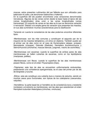 moscas, estos presentan rudimentos del par faltante que son utilizados para
balancear el vuelo y de denominan balancines o halterios.
En la superficie del ala pueden encontrarse unas venaciones denominadas
nervaduras. Algunas de las venas corren desde la base hasta el ápice del ala
(venas longitudinales) otras unen a las venas longitudinales (venas
transversas). El conjunto de venas en las alas es lo que se denomina venación
ó nerviación. Debido a la amplia gama de venación que presentan los insectos,
en sus alas suministran muchas características para la clasificación
Teniendo en cuenta la consistencia de las alas podemos encontrar diferentes
tipos:
-Membranosas: son las más comunes y constituyen el segundo par de la
mayoría de los insectos tetrápteros y el único en dípteros. También puede ser
el primer par de alas como en el caso de Hymenoptera (abejas, avispas),
Neuropteras (crisopas), Odonata (líbelulas), Hemiptera Auchenorrhynca y
Sternorrhyncha (chicharras, moscas blancas, pulgones, macho de cochinillas).
-Membranosas con escamas: cuando la superficie de ambos pares de alas
membranosas se hallan cubiertas de escamas, como en los lepidópteros
(mariposas, polillas).
-Membranosas con flecos: cuando la superficie de las alas membranosas
poseen flecos, como en el orden Thysanoptera (trips).
-Tégmenes: este tipo de alas se encuentran uniformemente endurecidas,
presentando una consistencia apergaminada, es el caso del primer par de ala
de langostas y tucuras.
-Élitros: esta ala constituye una cubierta dura a manera de estuche, siendo en
muchos casos poco funcionales, son típicas de los coleópteros (cascarudos,
vaquitas).
-Hemiélitros: la parte basal de un hemélitro es de consistencia dura y resistente
(coriácea) y el extremo es membranoso, son las alas que caracterizan al orden
Hemíptera suborden Heteróptera (chinches, vinchucas).
 