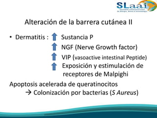 Alteración de la barrera cutánea II
• Dermatitis : Sustancia P
NGF (Nerve Growth factor)
VIP (vasoactive intestinal Peptide)
Exposición y estimulación de
receptores de Malpighi
Apoptosis acelerada de queratinocitos
 Colonización por bacterias (S Aureus)
 