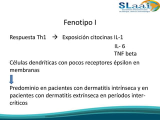 Fenotipo I
Respuesta Th1  Exposición citocinas IL-1
IL- 6
TNF beta
Células dendríticas con pocos receptores épsilon en
membranas
Predominio en pacientes con dermatitis intrínseca y en
pacientes con dermatitis extrínseca en períodos inter-
críticos
 