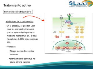 Inhibidores de la calcineurina
•En la práctica, se pueden usar
para las mismas indicaciones
que un esteroide de potencia
mediana (tacrolimus 1%) o baja
(tacrolimus 0.03%, pimecrolimus
1%)
• Ventajas:
•Riesgo menor de eventos
adversos
•El tratamiento continuo no
causa atrofia cutánea
Tratamiento activo
Primera línea de tratamiento
 