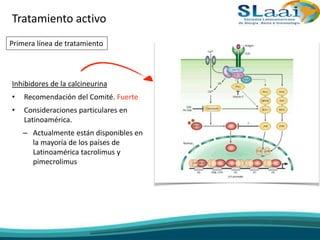 Inhibidores de la calcineurina
• Recomendación del Comité. Fuerte
• Consideraciones particulares en
Latinoamérica.
– Actualmente están disponibles en
la mayoría de los países de
Latinoamérica tacrolimus y
pimecrolimus
Tratamiento activo
Primera línea de tratamiento
 