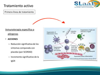 Inmunoterapia específica a
alérgenos
• ACCIONES
– Reducción significativa de los
síntomas comparada con
placebo (por SCORAD)
– Incremento significativo de la
IgG4
Tratamiento activo
Primera línea de tratamiento
 