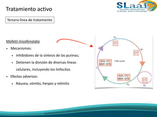 Mofetil micofenolato
• Mecanismos:
• Inhibidores de la síntesis de las purinas;
• Detienen la división de diversas líneas
celulares, incluyendo los linfocitos
• Efectos adversos:
• Náusea, vómito, herpes y retinitis
Tratamiento activo
Tercera línea de tratamiento
 