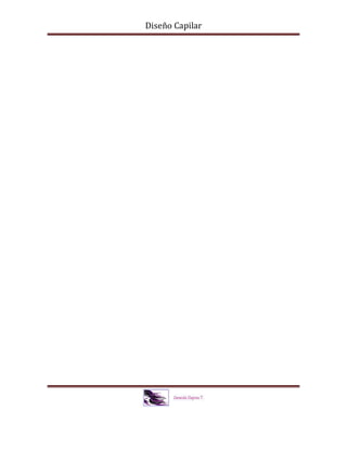 Diseño Capilar
 