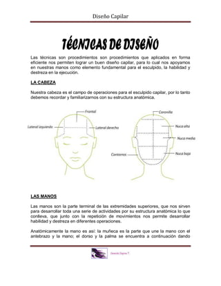 Diseño Capilar
Las técnicas son procedimientos son procedimientos que aplicados en forma
eficiente nos permiten lograr un buen diseño capilar, para lo cual nos apoyamos
en nuestras manos como elemento fundamental para el esculpido, la habilidad y
destreza en la ejecución.
LA CABEZA
Nuestra cabeza es el campo de operaciones para el esculpido capilar, por lo tanto
debemos recordar y familiarizarnos con su estructura anatómica.
LAS MANOS
Las manos son la parte terminal de las extremidades superiores, que nos sirven
para desarrollar toda una serie de actividades por su estructura anatómica lo que
conlleva, que junto con la repetición de movimientos nos permite desarrollar
habilidad y destreza en diferentes operaciones.
Anatómicamente la mano es así: la muñeca es la parte que une la mano con el
antebrazo y la mano; el dorso y la palma se encuentra a continuación dando
 