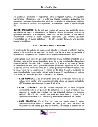Diseño Capilar
en proteínas animales y regímenes para adelgazar fuertes, desequilibrio
hormonales, infecciones, etc.) o externos (malos cuidados, productos mal
escogidos, peinados traumatizantes, etc.) así como ciertos tratamientos médicos
(para disminuir el hambre, antidepresivos, antimitóticos, rayos X, quimioterapia,
etc.)
CUERO CABELLUDO: Es la piel que recubre el cráneo, que presenta ciertas
peculiaridades, como la abundancia de folículos pilosos, importante cantidad de
glándulas sebáceas y sudoríparas; velocidad de renovación de las células
epidérmicas superior a otras regiones corporales. Los cabellos aparecen
implantados en el cuero cabelludo y de allí emergen tomando una posición
ligeramente oblicua.
CICLO BIOLÓGICO DEL CABELLO
El crecimiento del cabello se inicia en el folículo y va hacia el exterior, cuando
asoma a la superficie se cornifica, de modo que la parte que se proyecta al
exterior está compuesta por células muertas y queratinizadas en un 97%.
La raíz pilosa es un tejido en gran actividad metabólica y metótica; el cabello crece
de abajo hacia arriba, desde las células vivas de la raíz impulsando a las células
muertas del tallo. Su ciclo vital lo cumple entre 2 y 6 años; en los niños y jóvenes
el crecimiento es más rápido que en los adultos y casi nulo a partir de los 65 años.
El pelo no crece a un mismo ritmo, en el vertex (parte abovedada del cráneo) y en
la nuca tiene mayor crecimiento y menor en la zona frontal y temporal; en
promedio el cabello crece medio milímetro diariamente. El cabello tiene un ciclo de
vida: nace, se desarrolla y muere; observando así 3 fases:
 FASE ANÁGENA: O de crecimiento; parte de la producción mitótica de las
células en la papila y a la evolución del bulbo piloso. La mayoría del cabello
(90%) está en esta fase que dura de 2 a 6 años.
 FASE CATÁGENA: Que se sucede después de la fase anágena,
correspondiendo a un periodo de descanso en el cual el folículo está
dormido, la papila está inactiva, no hay actividad mitótica (no produce
células). El 4% del cabello en está en esta fase y puede durar
aproximadamente de 2 a 3 semanas y termina con la muerte del cabello.
 FASE TELÓGENA: Es el final del ciclo que puede durar 3 meses
aproximadamente entre la muerte del pelo y su caída, el bulbo se
desprende de la papila que deja de nutrirlo, cayéndose el cabello en un
 