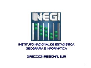 INSTITUTO NACIONAL DE ESTADISTICA GEOGRAFIA E INFORMATICA DIRECCIÓN REGIONAL SUR 