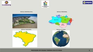 PROFESSORA DRª ROSANA TORRINHA SILVA DE FARIAS
ESCALA MACROLOCAL ESCALA REGIONAL
ESCALA NACIONAL ESCALA GLOBAL
1
 