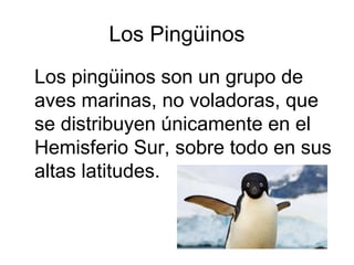 Los Pingüinos
Los pingüinos son un grupo de
aves marinas, no voladoras, que
se distribuyen únicamente en el
Hemisferio Sur, sobre todo en sus
altas latitudes.
 