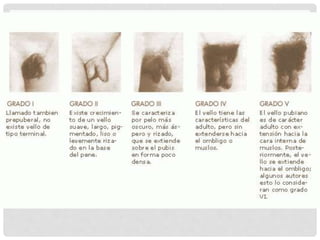 Documentos Medico Legales 