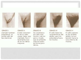 Documentos Medico Legales 