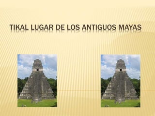 TIKAL LUGAR DE LOS ANTIGUOS MAYAS
 