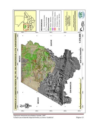 Organización Internacional de las Maderas Tropicales “OIMT”
Fundación para el Desarrollo Integral del Hombre y su Entorno “CALMECAC”   Página 13
 