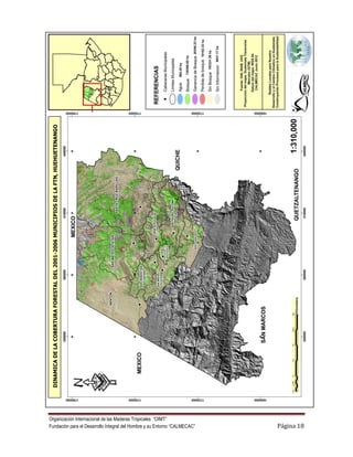 Organización Internacional de las Maderas Tropicales “OIMT”
Fundación para el Desarrollo Integral del Hombre y su Entorno “CALMECAC”   Página 18
 