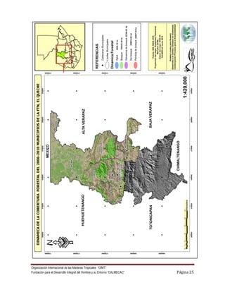 Organización Internacional de las Maderas Tropicales “OIMT”
Fundación para el Desarrollo Integral del Hombre y su Entorno “CALMECAC”   Página 25
 